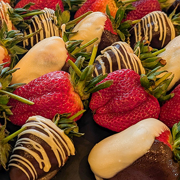 FILO's Food + Catering